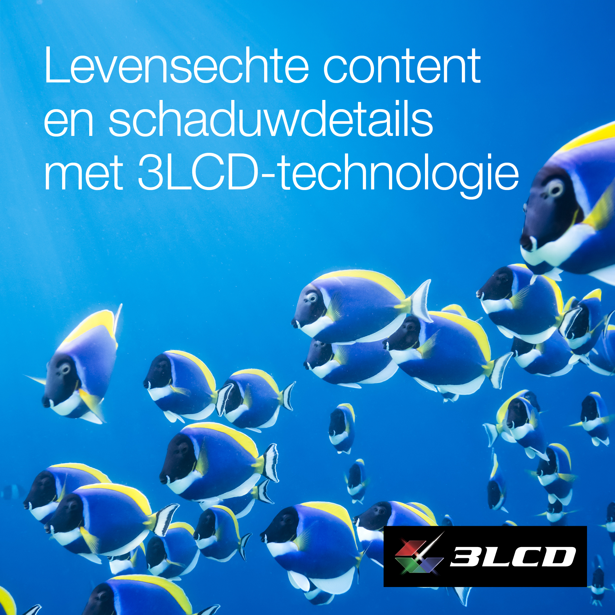 Epson CO-FH02 Smart Full HD-projector, 3000 lumen, scherm van maximaal 391 inch - Afbeelding 8